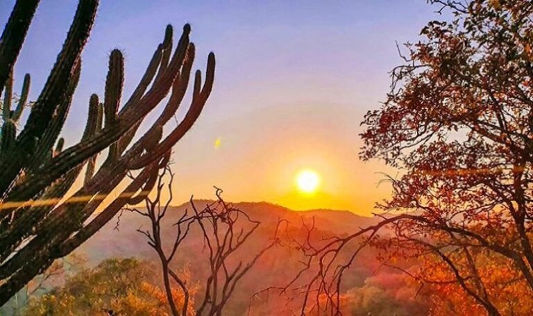 paisaje natural de santiago del estero