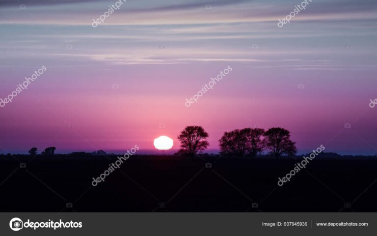 paisaje rural en buenos aires al atardecer