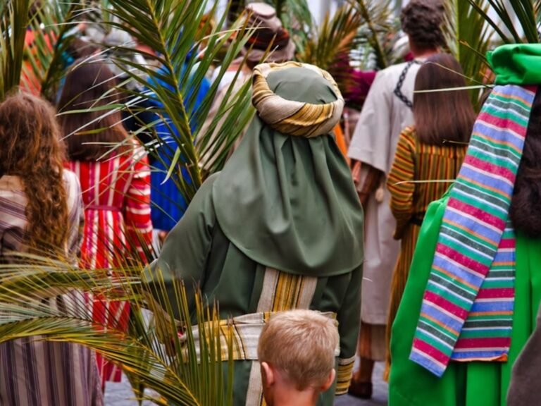 palmas de olivo en celebracion religiosa