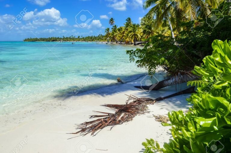 Dónde encontrar agua de coco en Villa Gesell 5 palmeras y agua de coco en la playa
