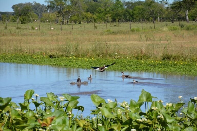 parque natural en san antonio de areco
