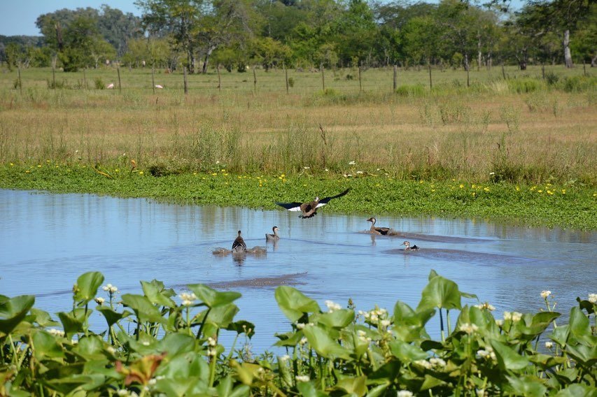 Qué estancias en San Antonio de Areco son ideales para pasar el día