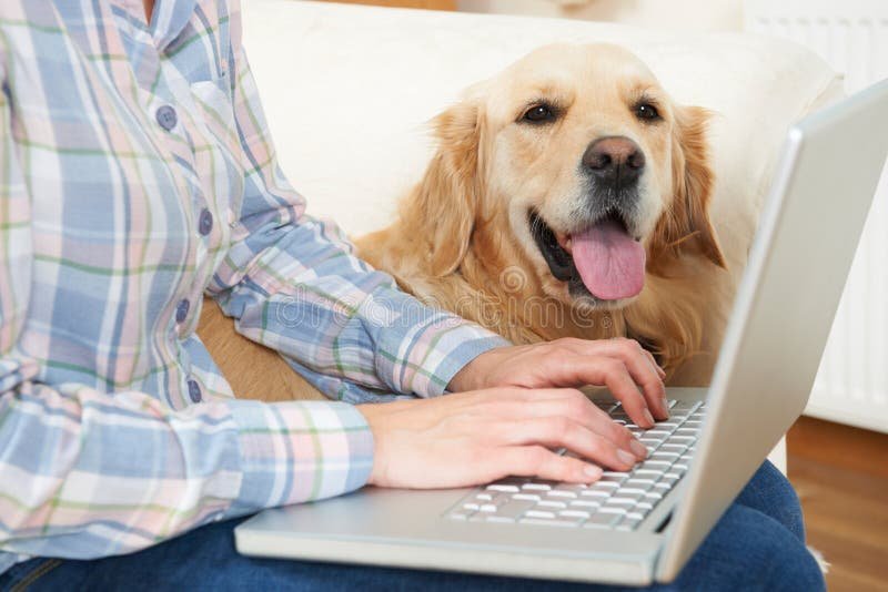 Existen aplicaciones que permitan comunicarse con los perros