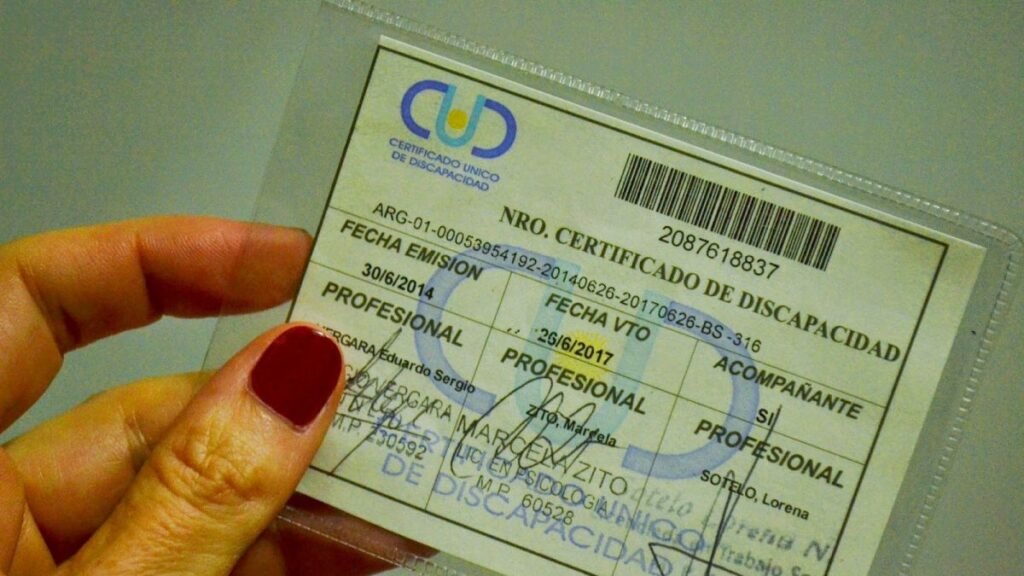 Cómo sacar un pasaje con carnet de discapacidad en Argentina