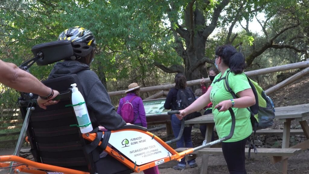 Qué requisitos necesito para obtener el pase libre para discapacitados nacional