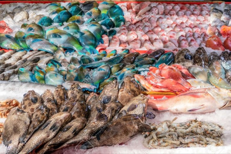 pescaderia con productos frescos y coloridos