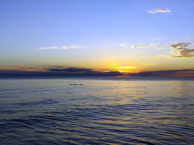 playa de las toninas al atardecer
