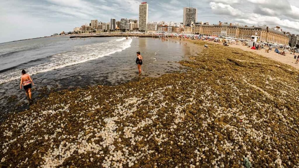 Cuáles son las mejores opciones de pasajes de Bs As a Mar del Plata