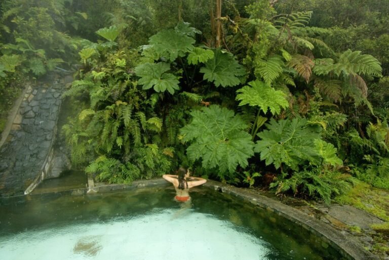 relax en un spa rodeado de naturaleza