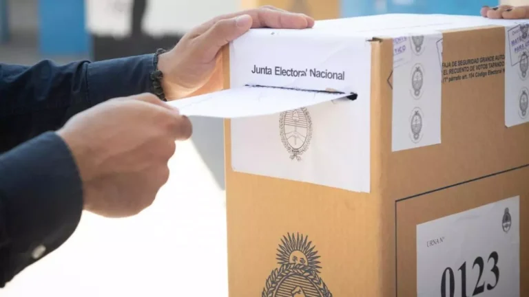 Cuánto sacó Javier Milei en las PASO y qué implica para su campaña 27 resultados electorales en una urna de votacion
