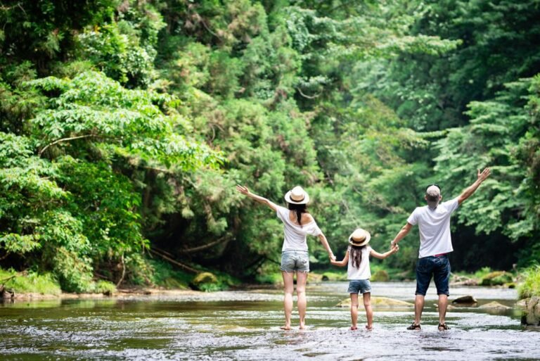 Qué funciones cumple el Instituto Correntino del Agua y del Ambiente 3 rio y naturaleza en armonia
