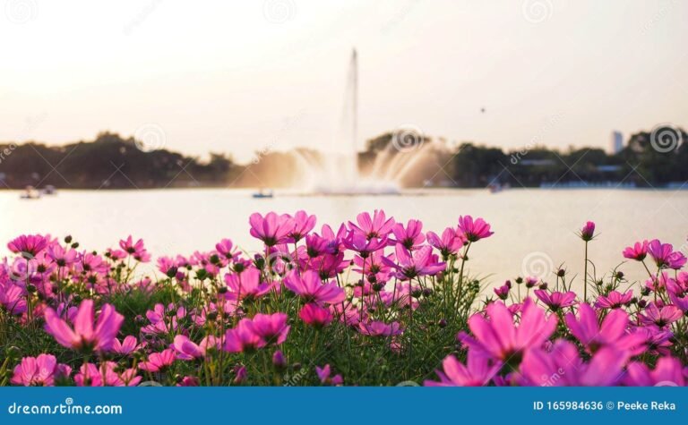rosas en un campo florido y vibrante