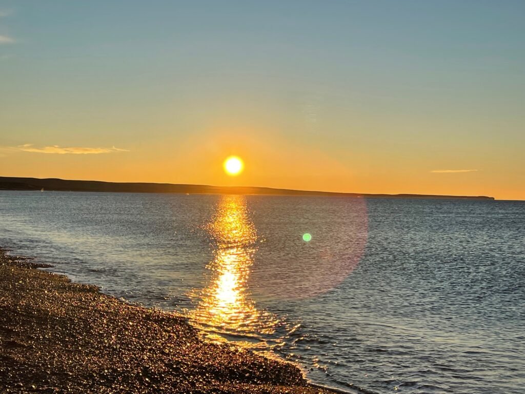 Qué lugares visitar en Puerto Madryn en auto durante tu viaje