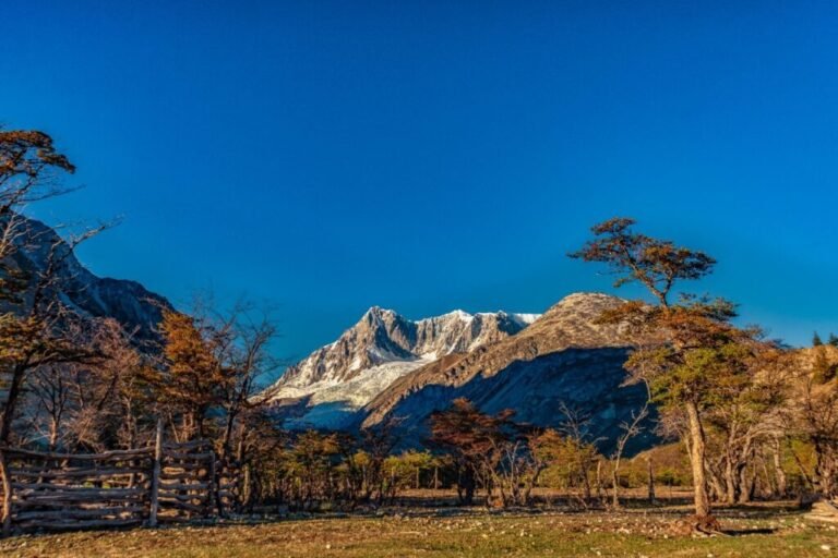 ruta escenica entre montanas y bosques