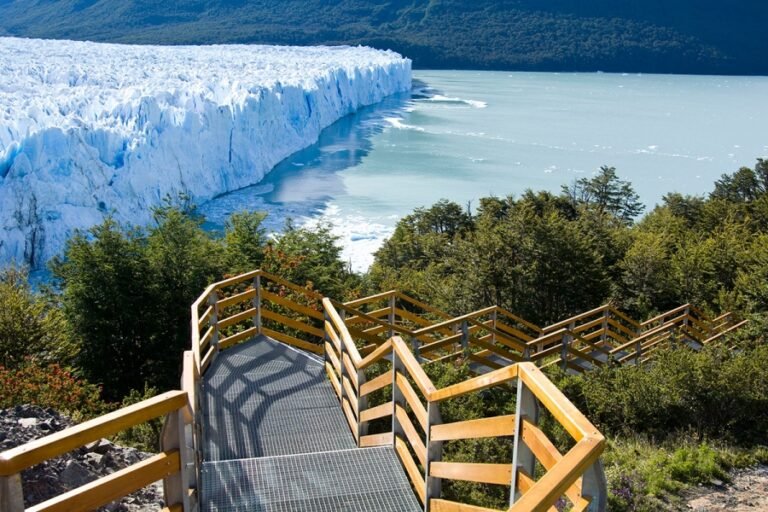 sendero hacia el parque nacional los glaciares