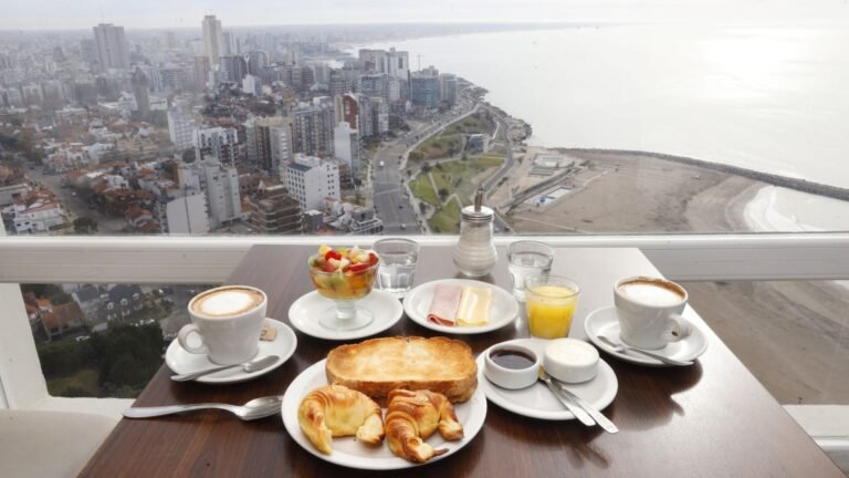 Cuáles son las mejores casas de té en Mar del Plata para visitar 16 taza de te con paisaje marplatense