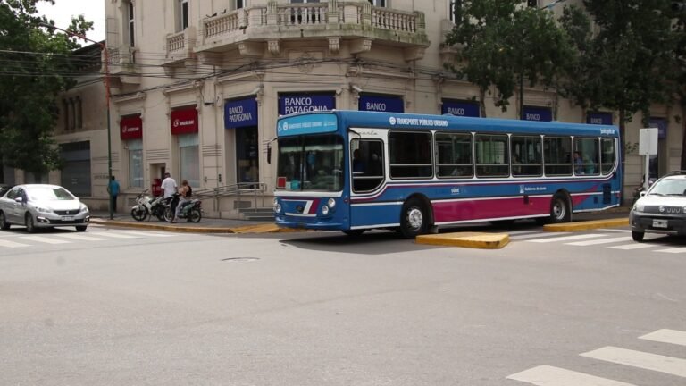 transporte publico en calles de buenos aires