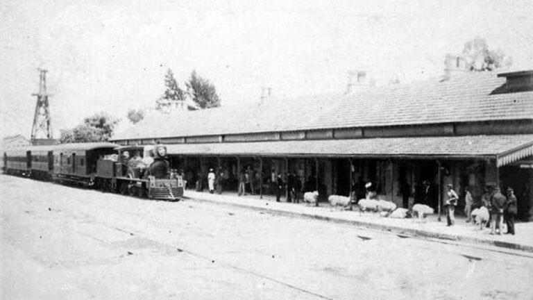 tren llegando a estacion en buenos aires