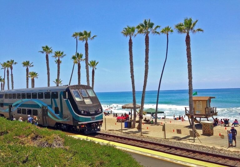 tren viajando hacia la playa en verano