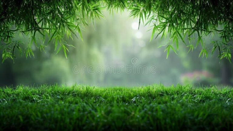 una luz suave en un bosque tranquilo