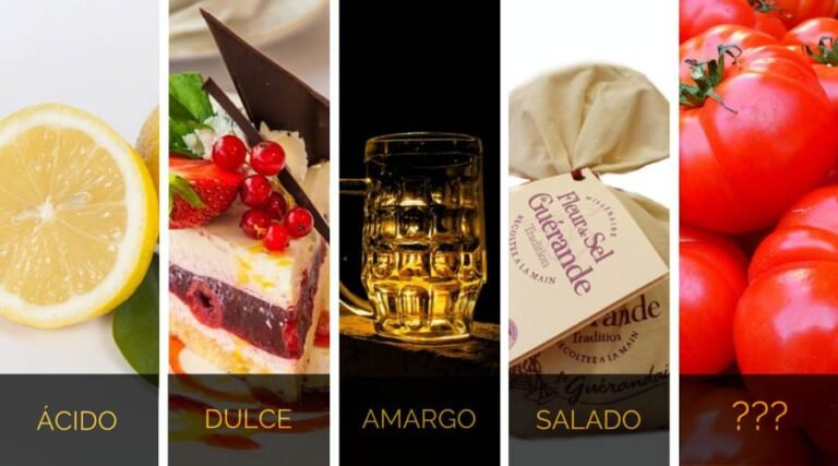variedad de objetos de sabor en gastronomia