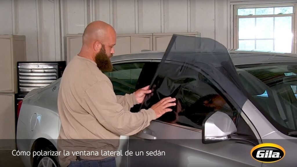 Qué tipo de polarizado está permitido en Argentina 3 Qué tipo de polarizado está permitido en Argentina