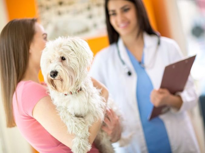 Dónde encontrar una buena veterinaria en Santa Rosa, Lomas del Mirador