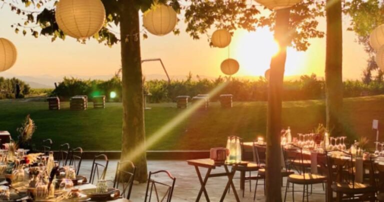 vinedos al atardecer con notas musicales