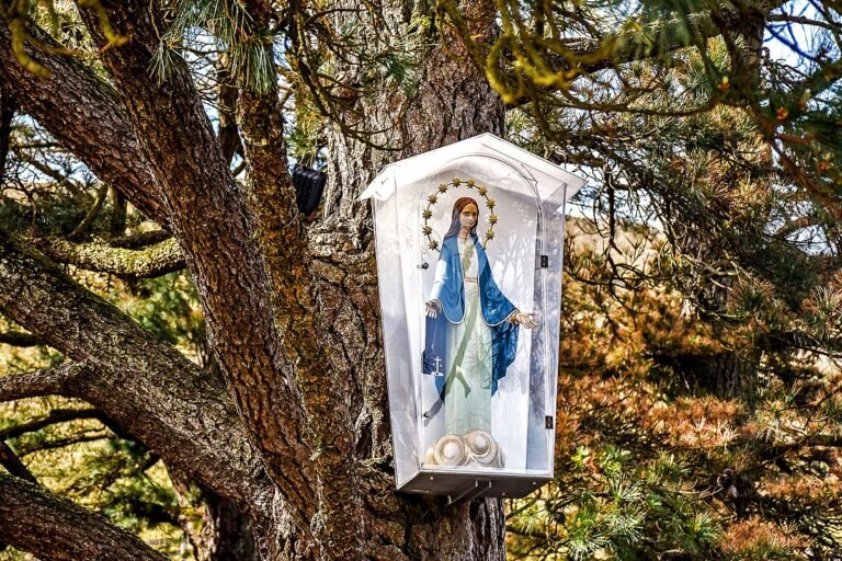 virgen rodeada de luz y naturaleza