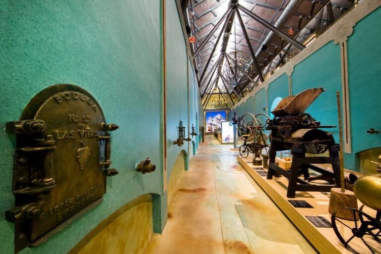 visita guiada en el museo del vino