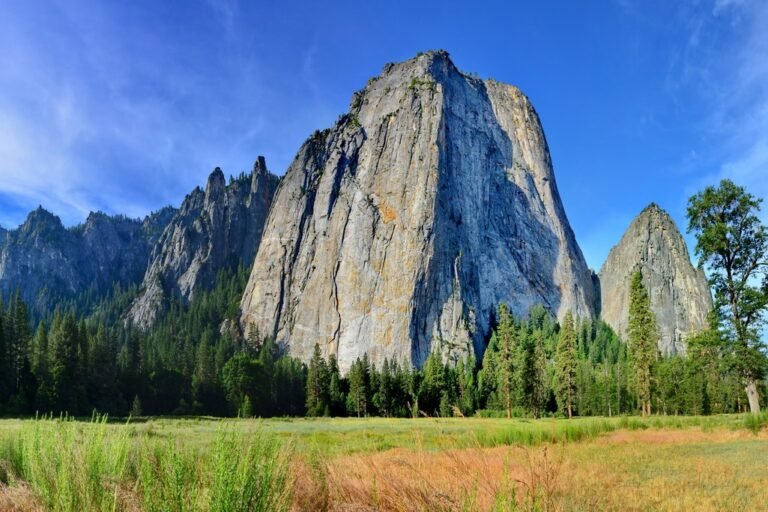 vista del cuello molar en la naturaleza