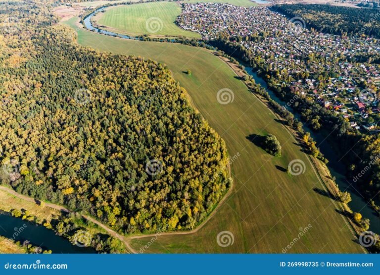 vista panoramica de un campo en entre rios
